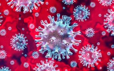 What Positive Leaders Can Do About Coronavirus